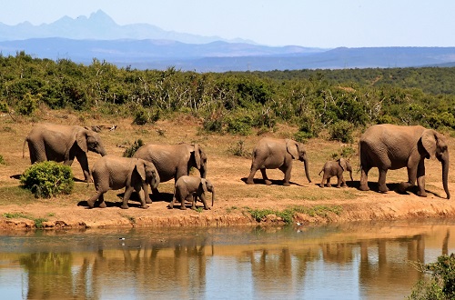 2 days Tanzania private lodge safari to Tarangire and Ngorongoro