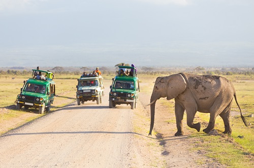 4 days Tanzania private lodge safari to Tarangire, Serengeti, and Ngorongoro